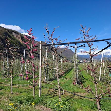 Versigglhof Appiano Sulla Strada Del Vino Bagian luar foto