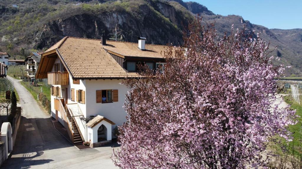 Versigglhof Appiano Sulla Strada Del Vino Bagian luar foto