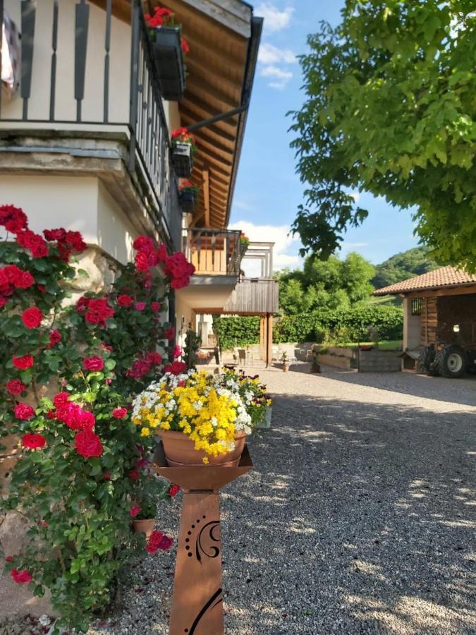 Versigglhof Appiano Sulla Strada Del Vino Bagian luar foto