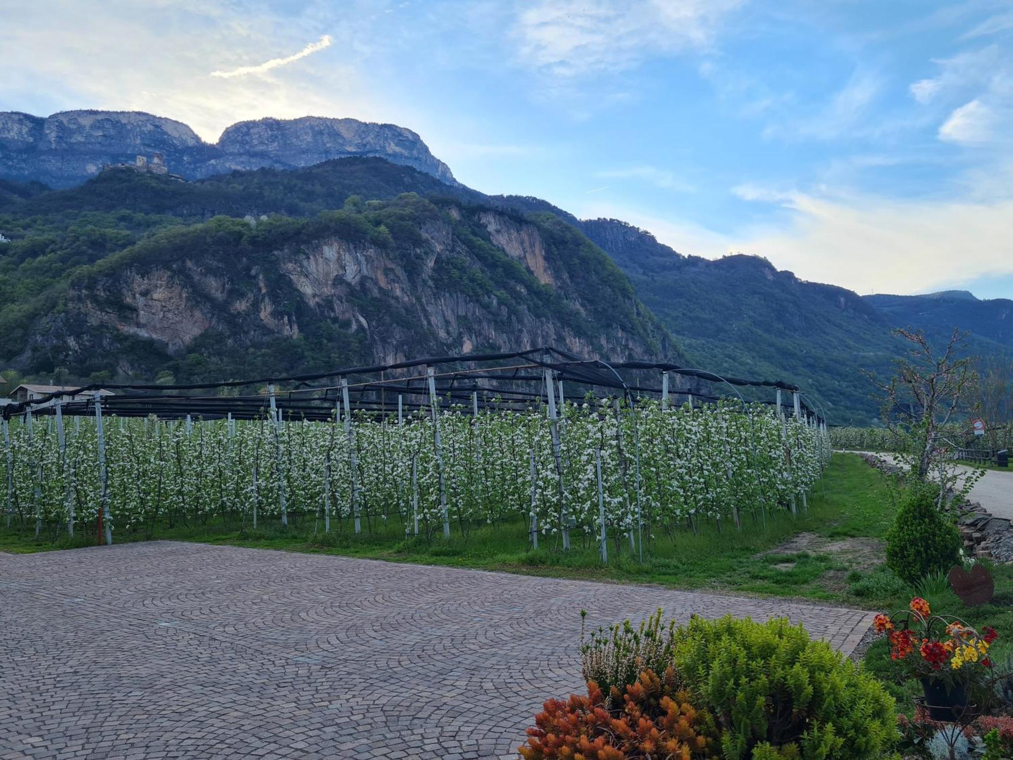 Versigglhof Appiano Sulla Strada Del Vino Bagian luar foto