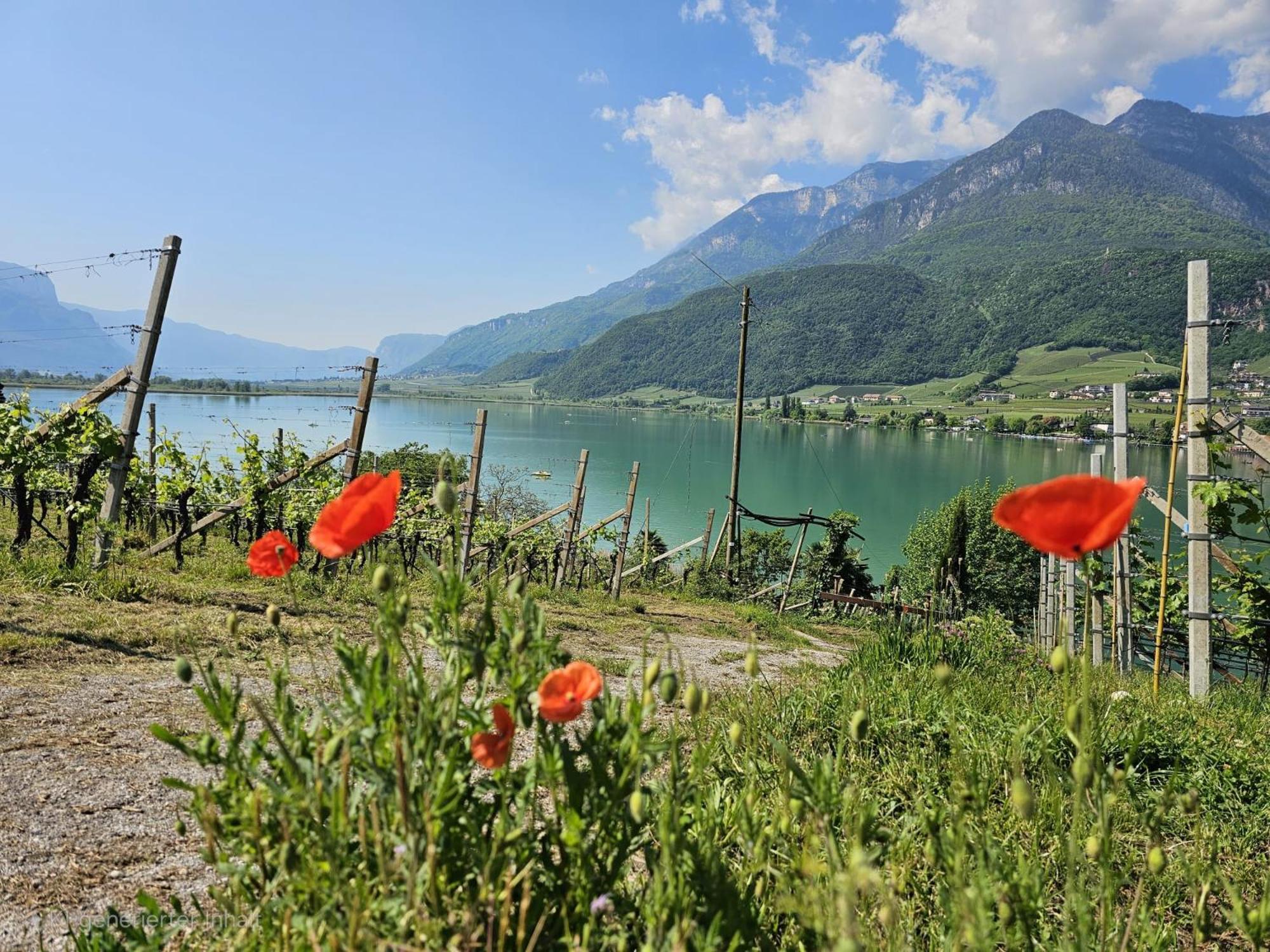 Versigglhof Appiano Sulla Strada Del Vino Bagian luar foto