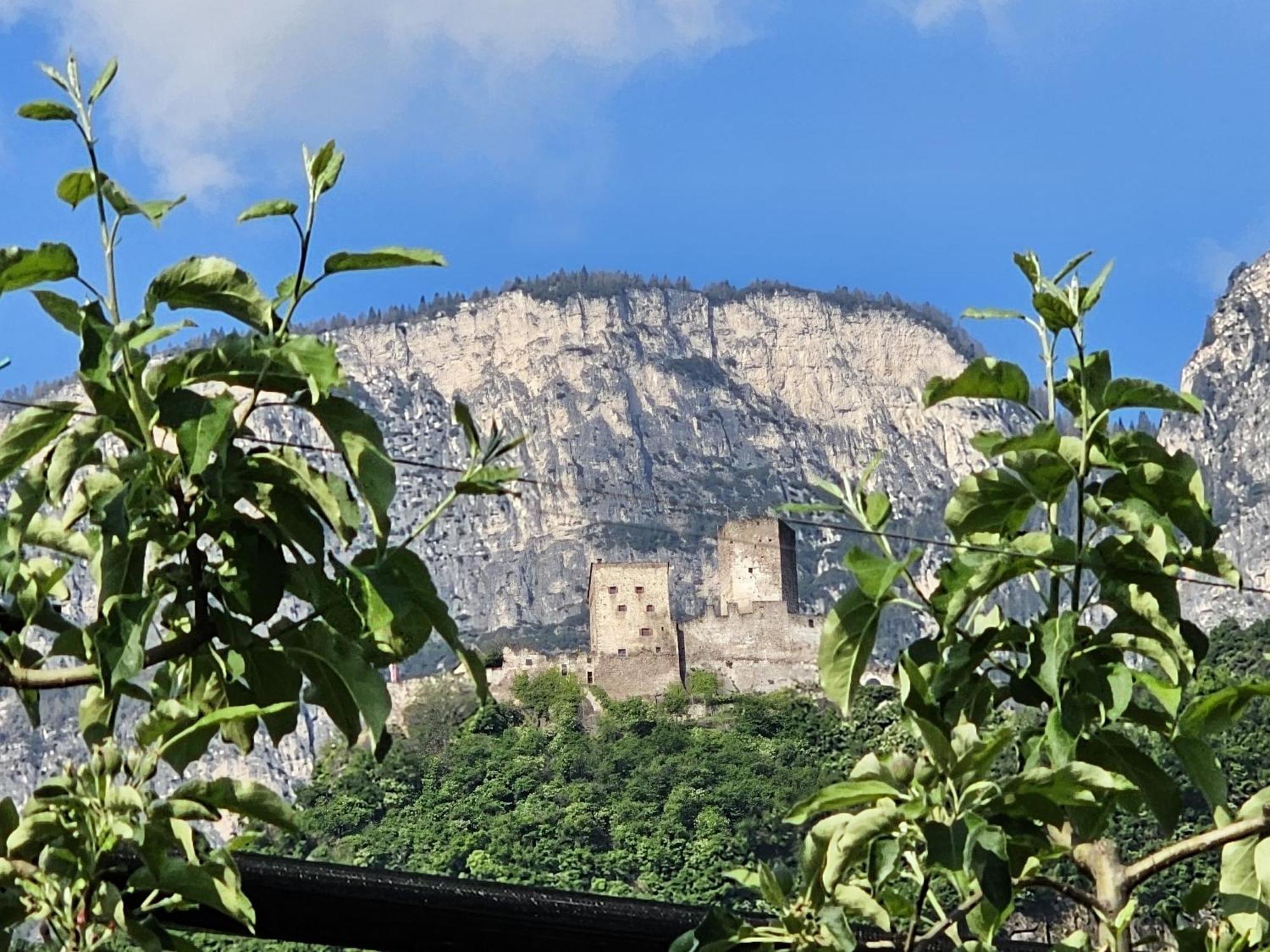 Versigglhof Appiano Sulla Strada Del Vino Bagian luar foto